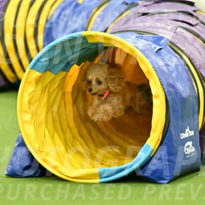 MAS-EX-JWW-4-8-Inch_0268