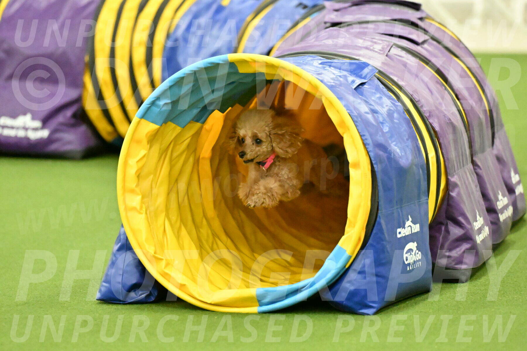 MAS-EX-JWW-4-8-Inch_0268