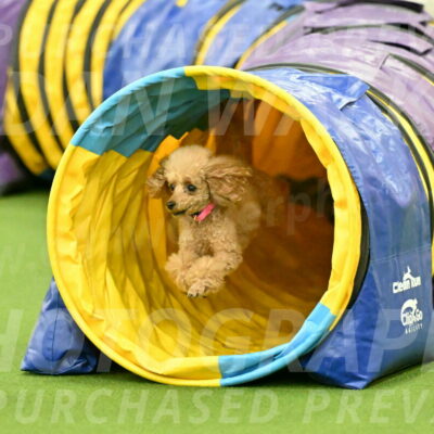 MAS-EX-JWW-4-8-Inch_0269