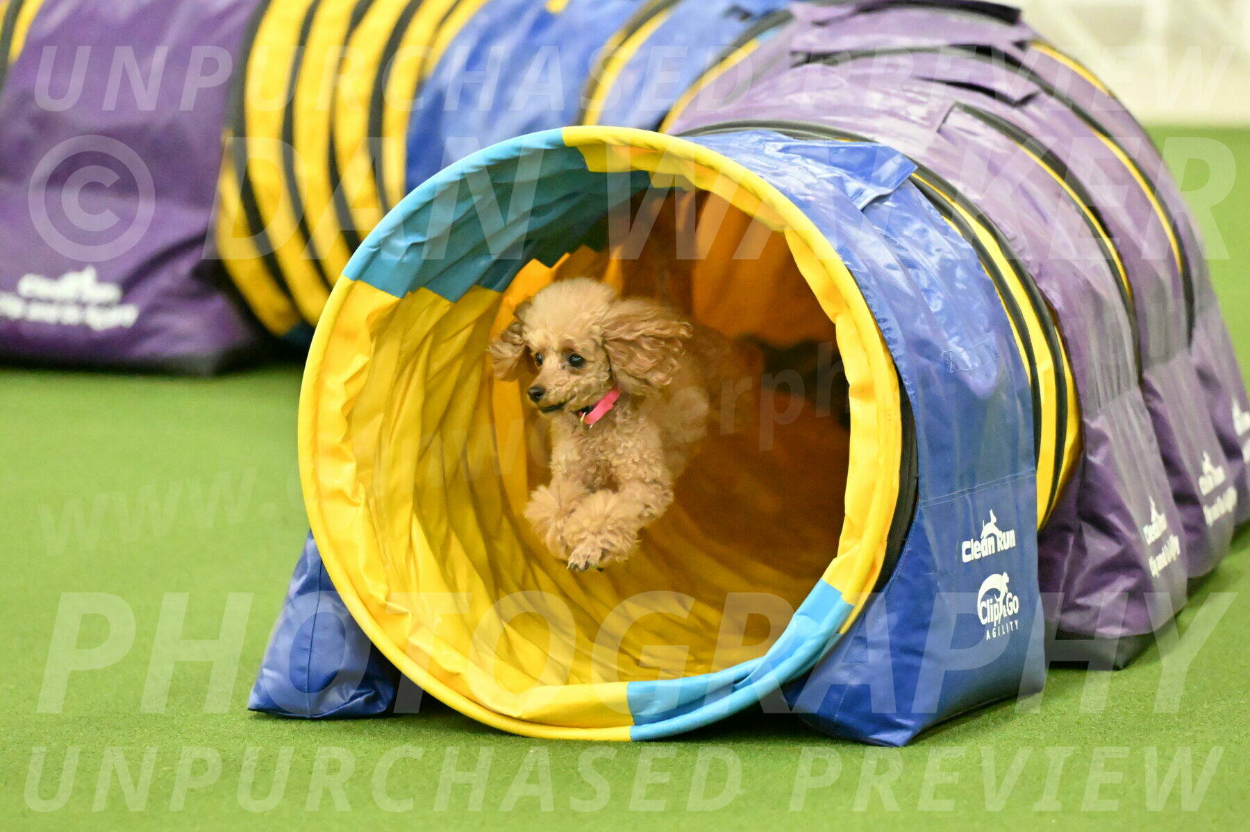 MAS-EX-JWW-4-8-Inch_0269