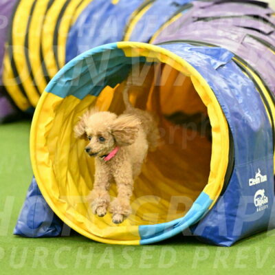 MAS-EX-JWW-4-8-Inch_0270