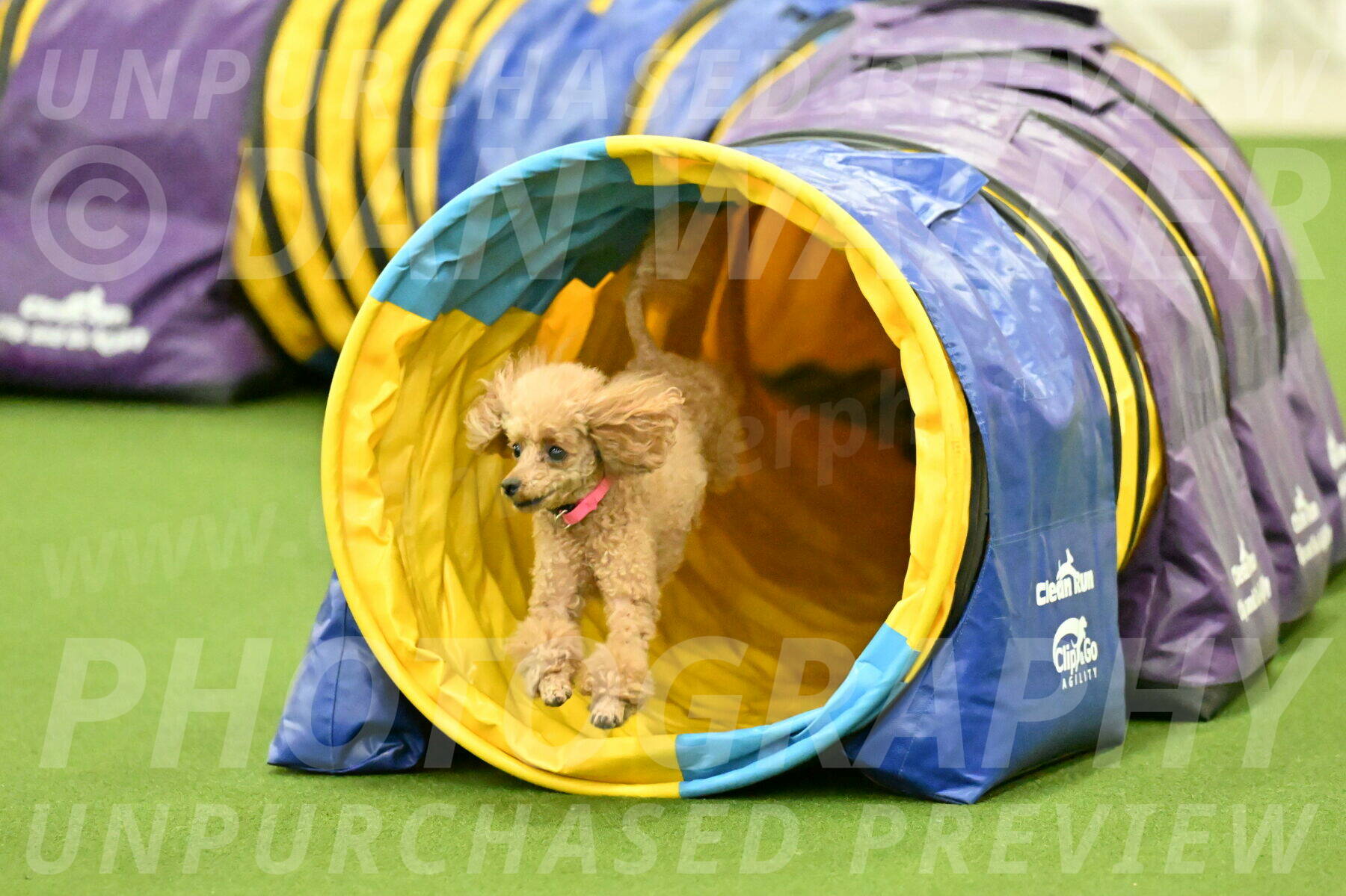 MAS-EX-JWW-4-8-Inch_0270