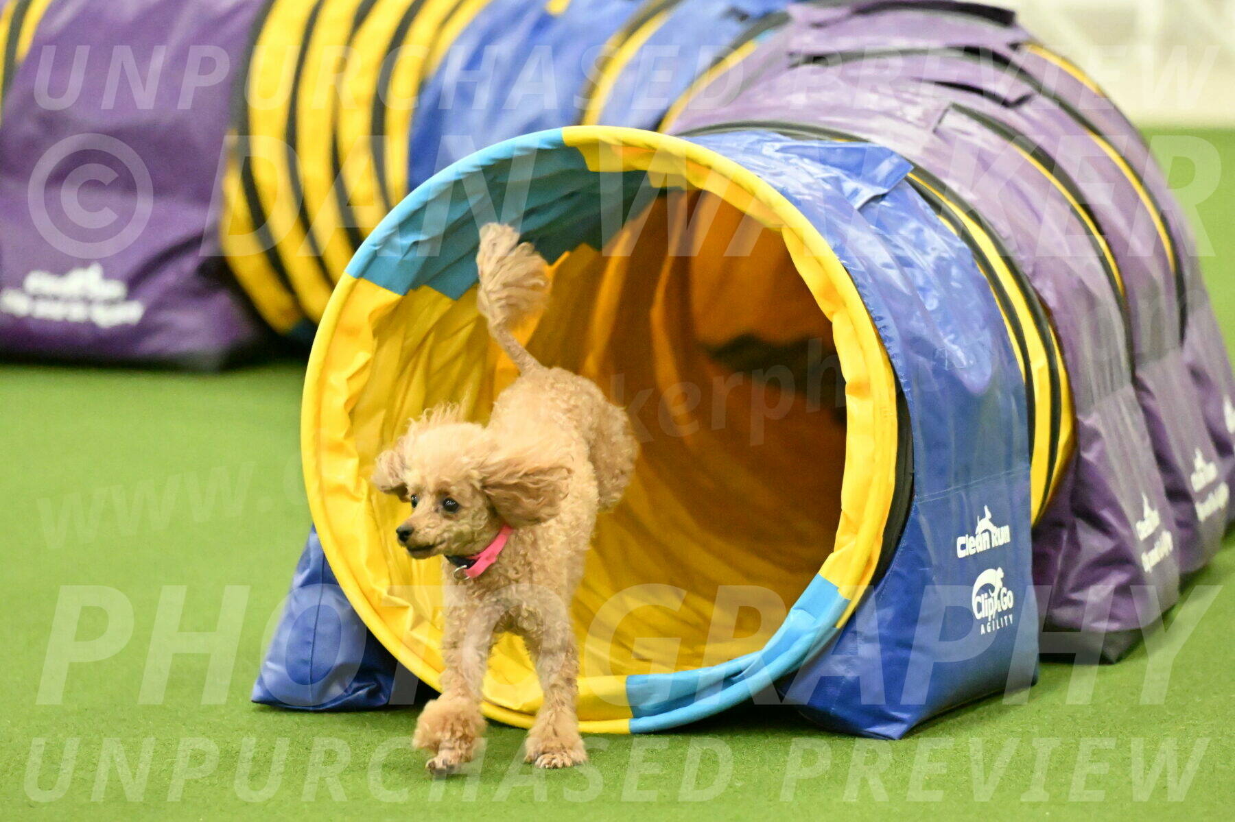 MAS-EX-JWW-4-8-Inch_0271