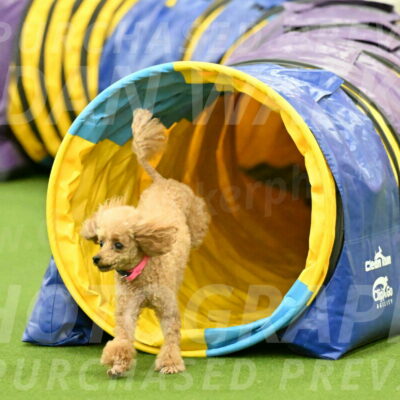 MAS-EX-JWW-4-8-Inch_0271