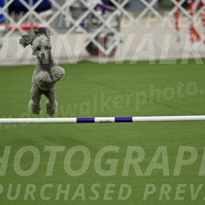 MAS-EX-JWW-4-8-Inch_0278