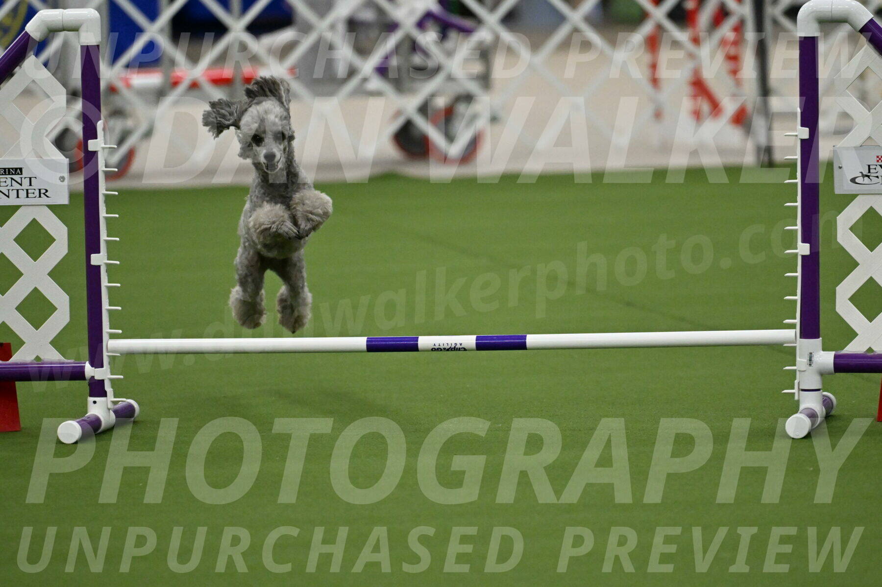 MAS-EX-JWW-4-8-Inch_0278