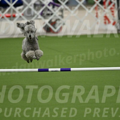 MAS-EX-JWW-4-8-Inch_0280