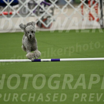 MAS-EX-JWW-4-8-Inch_0281