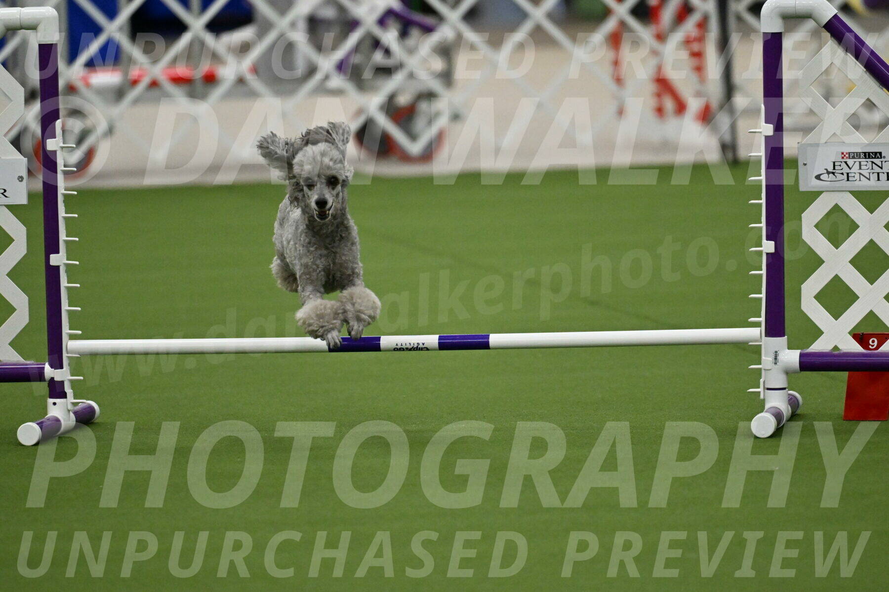 MAS-EX-JWW-4-8-Inch_0281