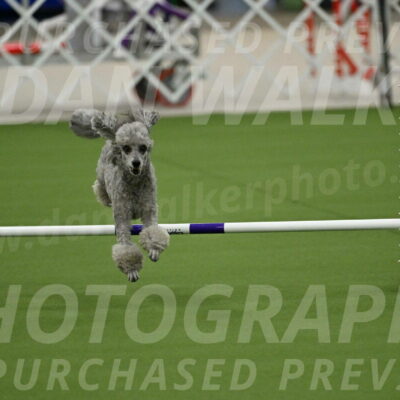 MAS-EX-JWW-4-8-Inch_0282