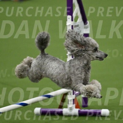 MAS-EX-JWW-4-8-Inch_0288