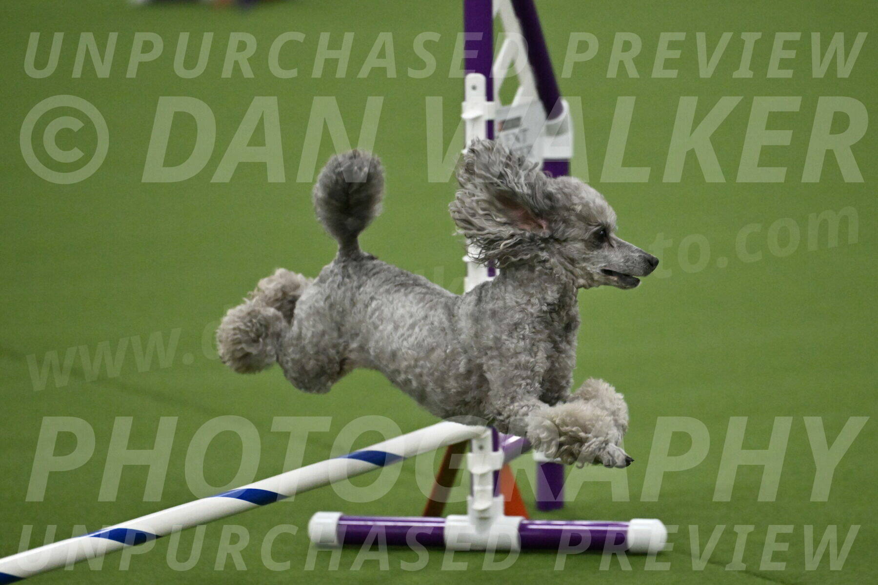 MAS-EX-JWW-4-8-Inch_0288