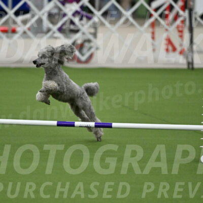 MAS-EX-JWW-4-8-Inch_0295