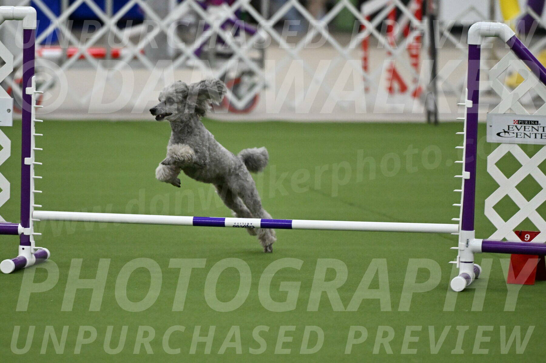 MAS-EX-JWW-4-8-Inch_0295