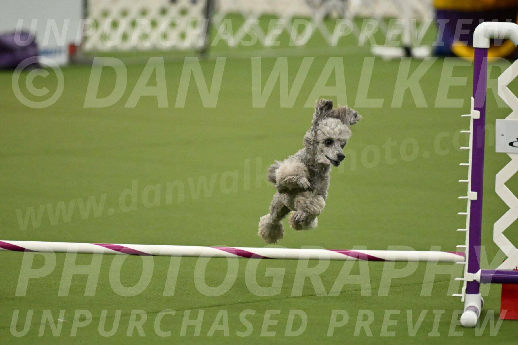 MAS-EX-JWW-4-8-Inch_0298