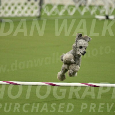 MAS-EX-JWW-4-8-Inch_0298