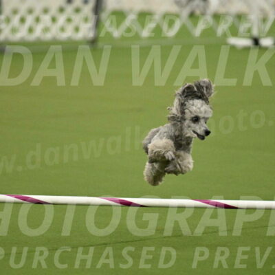 MAS-EX-JWW-4-8-Inch_0299