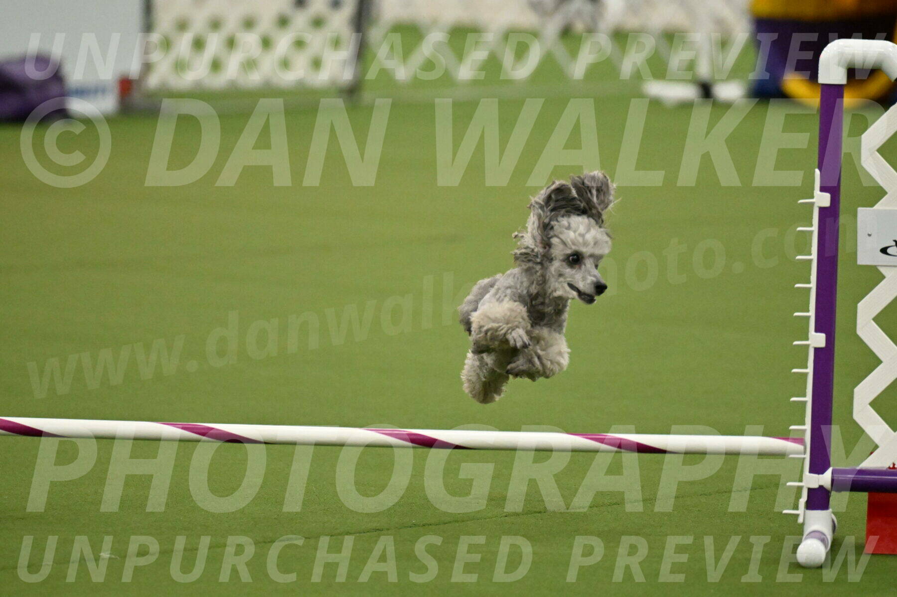 MAS-EX-JWW-4-8-Inch_0299