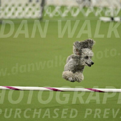 MAS-EX-JWW-4-8-Inch_0300