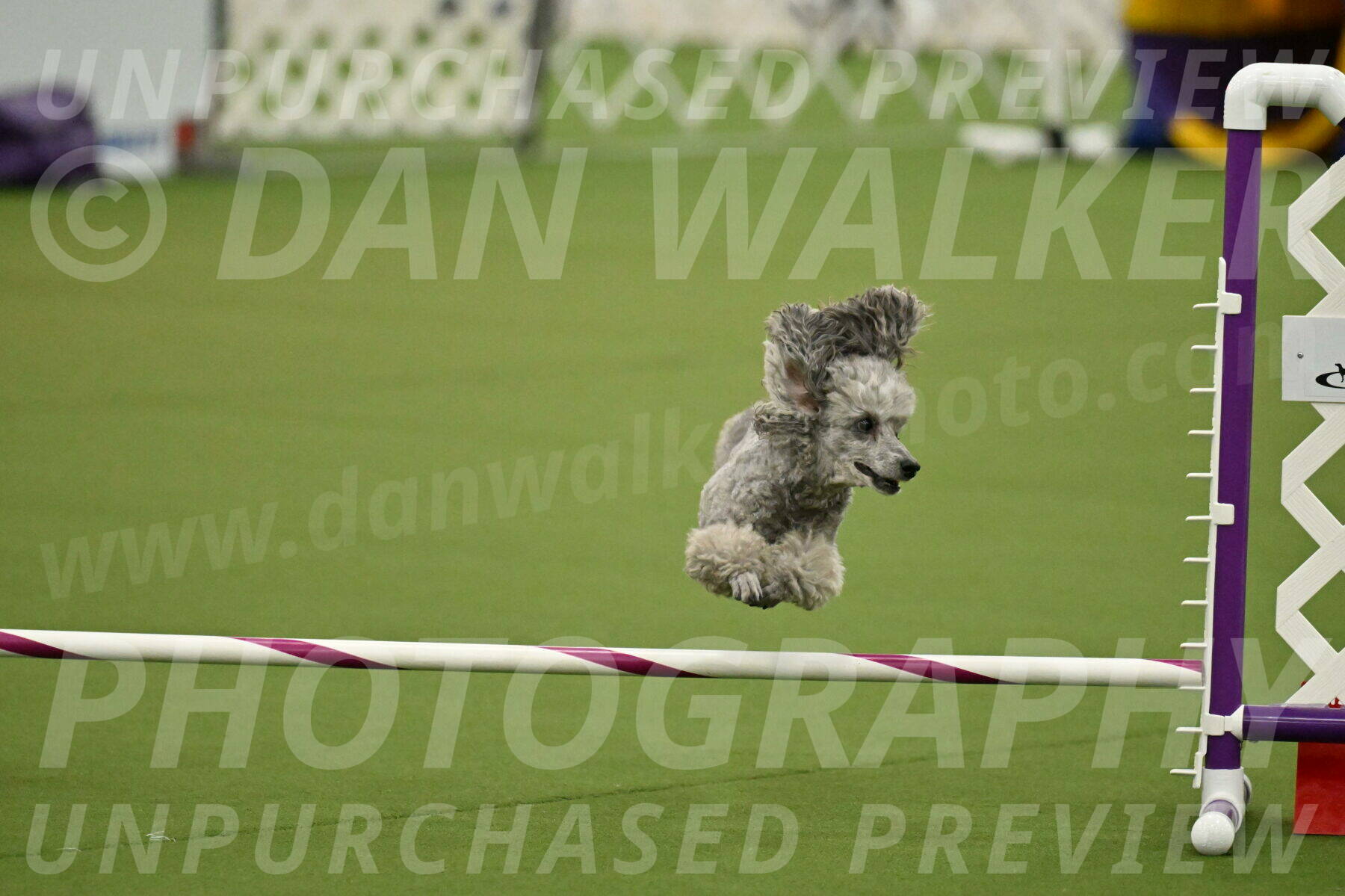 MAS-EX-JWW-4-8-Inch_0300