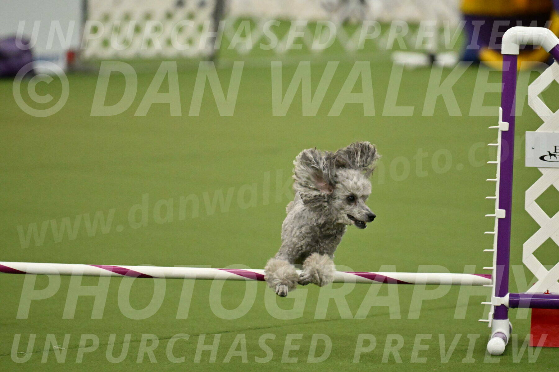 MAS-EX-JWW-4-8-Inch_0301