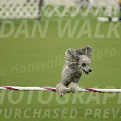 MAS-EX-JWW-4-8-Inch_0301