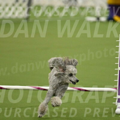 MAS-EX-JWW-4-8-Inch_0302