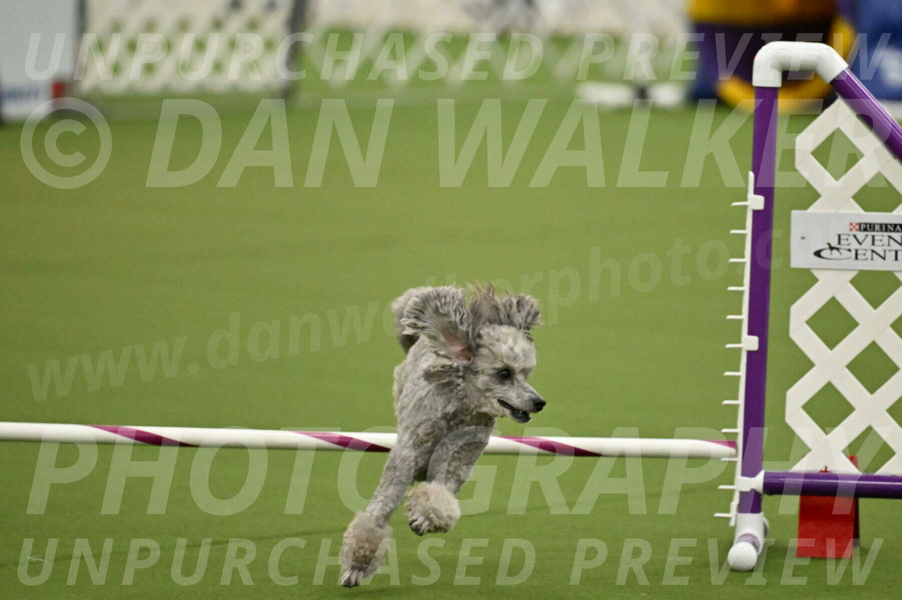 MAS-EX-JWW-4-8-Inch_0302