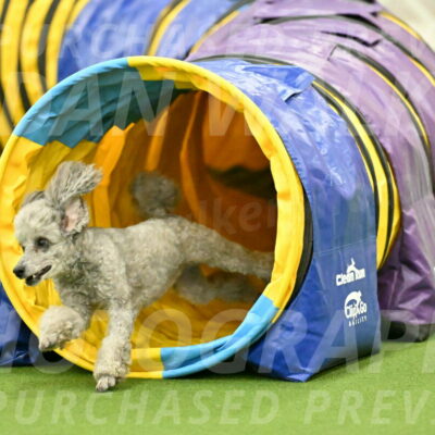 MAS-EX-JWW-4-8-Inch_0314