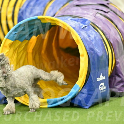 MAS-EX-JWW-4-8-Inch_0315