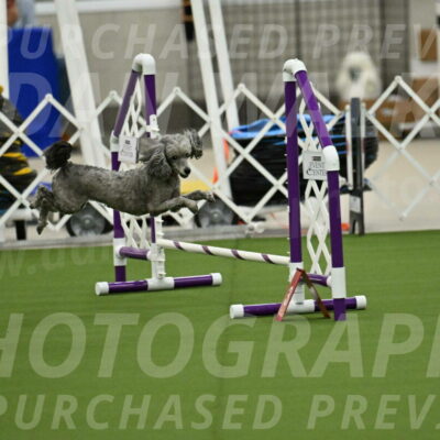 MAS-EX-JWW-4-8-Inch_0336