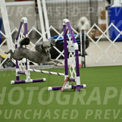 MAS-EX-JWW-4-8-Inch_0337