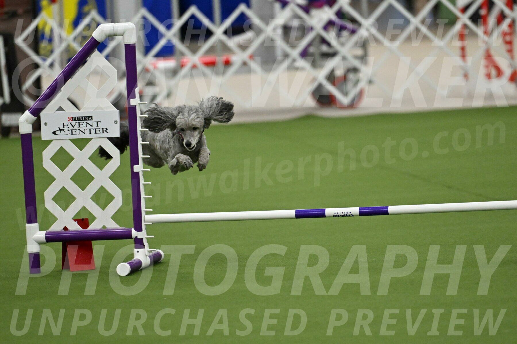 MAS-EX-JWW-4-8-Inch_0341