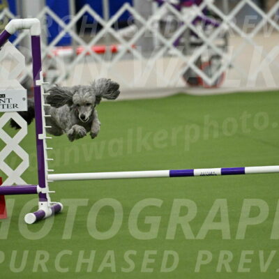 MAS-EX-JWW-4-8-Inch_0341