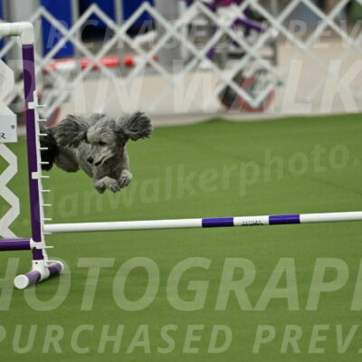 MAS-EX-JWW-4-8-Inch_0342