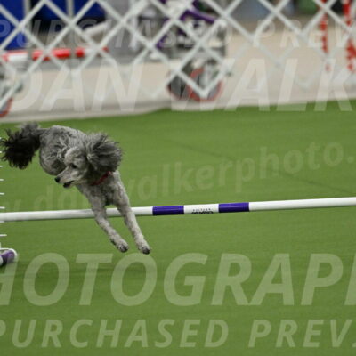 MAS-EX-JWW-4-8-Inch_0343