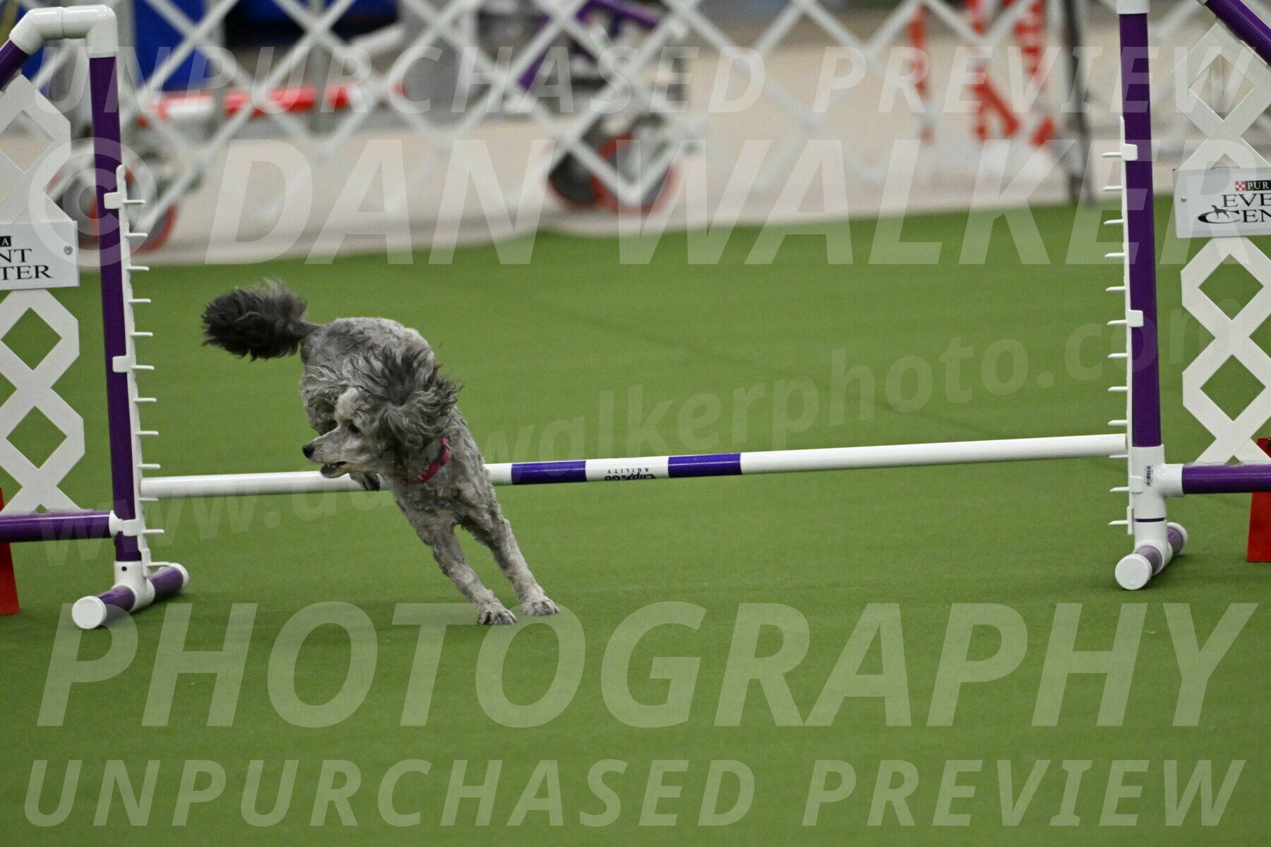 MAS-EX-JWW-4-8-Inch_0344