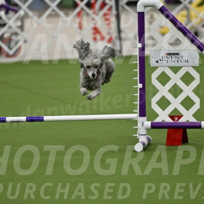 MAS-EX-JWW-4-8-Inch_0352