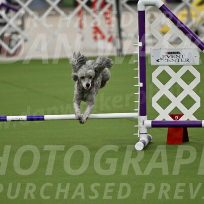 MAS-EX-JWW-4-8-Inch_0353