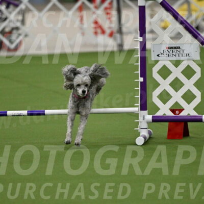 MAS-EX-JWW-4-8-Inch_0354