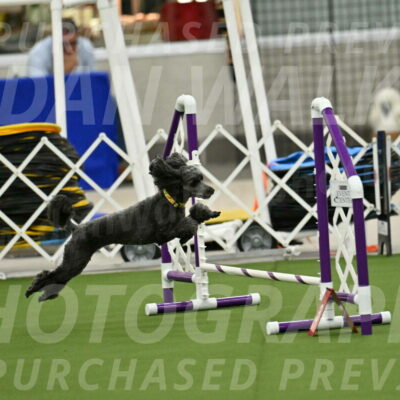 MAS-EX-JWW-4-8-Inch_0361