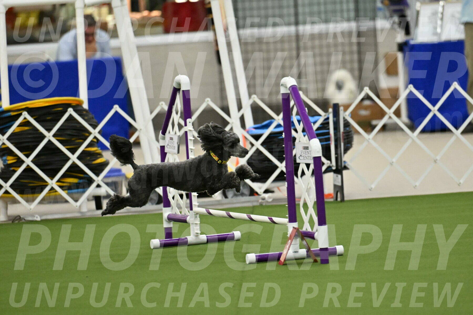 MAS-EX-JWW-4-8-Inch_0362