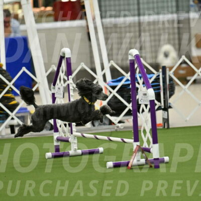 MAS-EX-JWW-4-8-Inch_0362