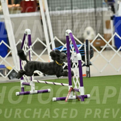 MAS-EX-JWW-4-8-Inch_0363