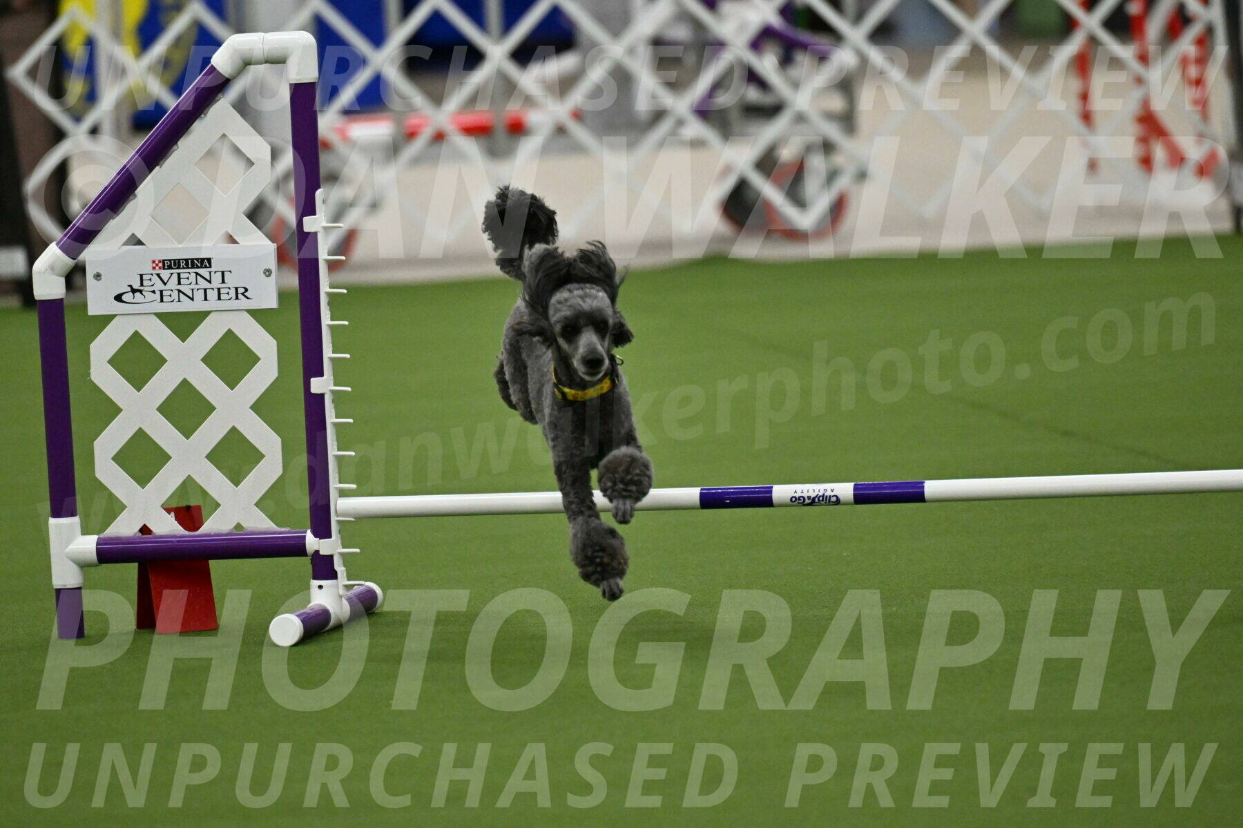 MAS-EX-JWW-4-8-Inch_0367