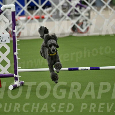 MAS-EX-JWW-4-8-Inch_0367