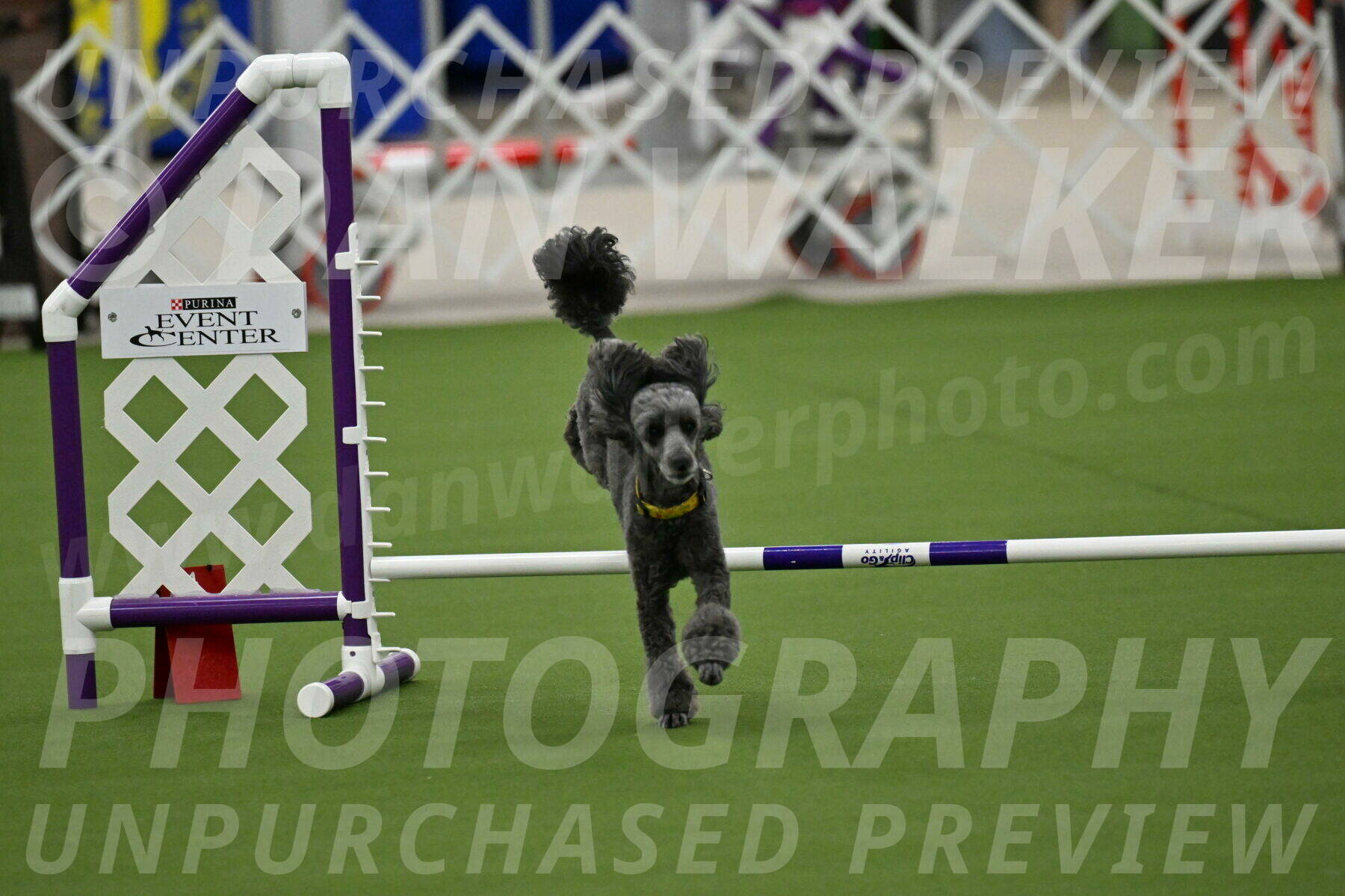 MAS-EX-JWW-4-8-Inch_0368