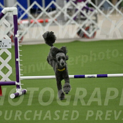 MAS-EX-JWW-4-8-Inch_0368