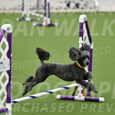 MAS-EX-JWW-4-8-Inch_0372