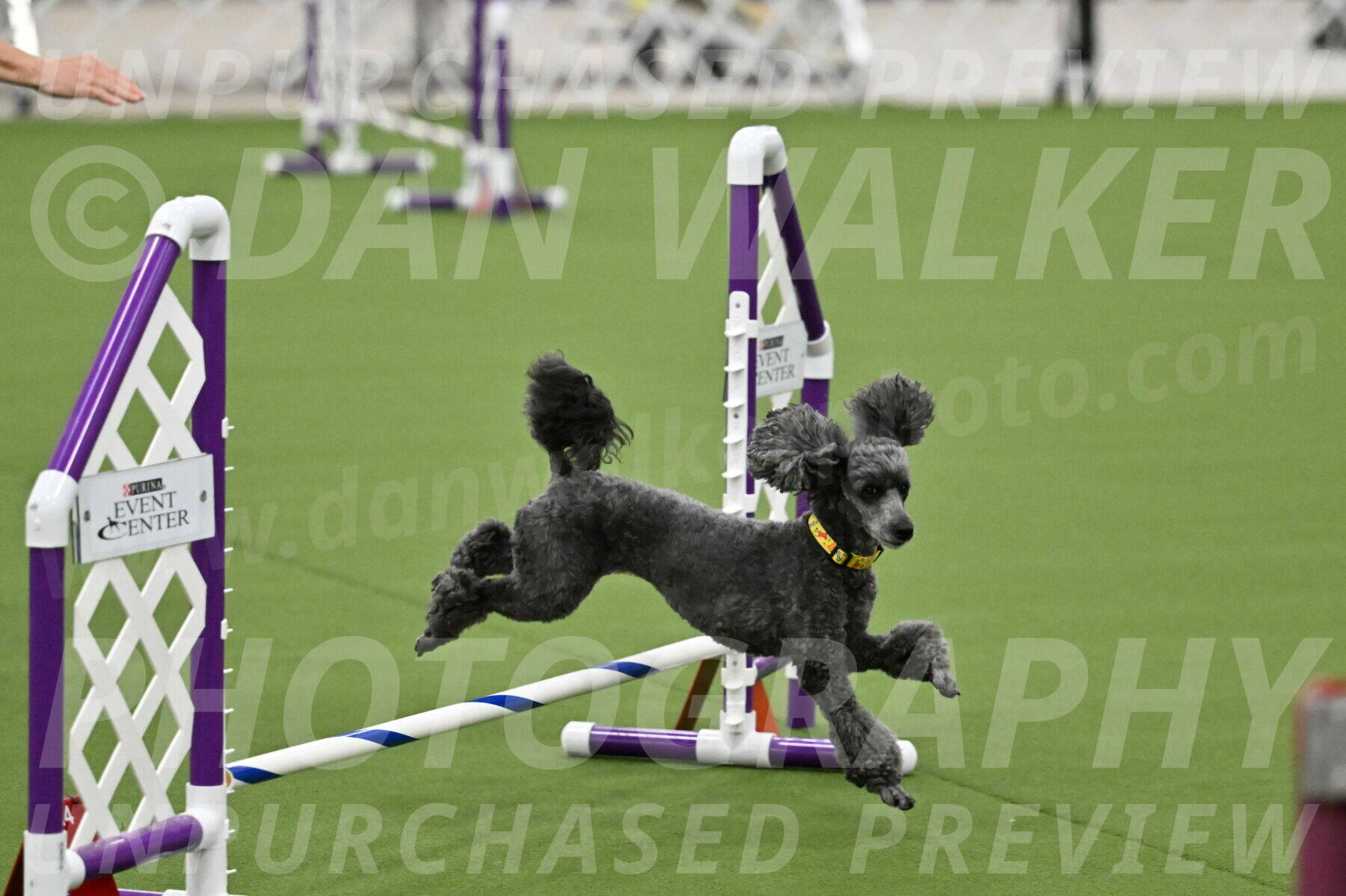 MAS-EX-JWW-4-8-Inch_0373